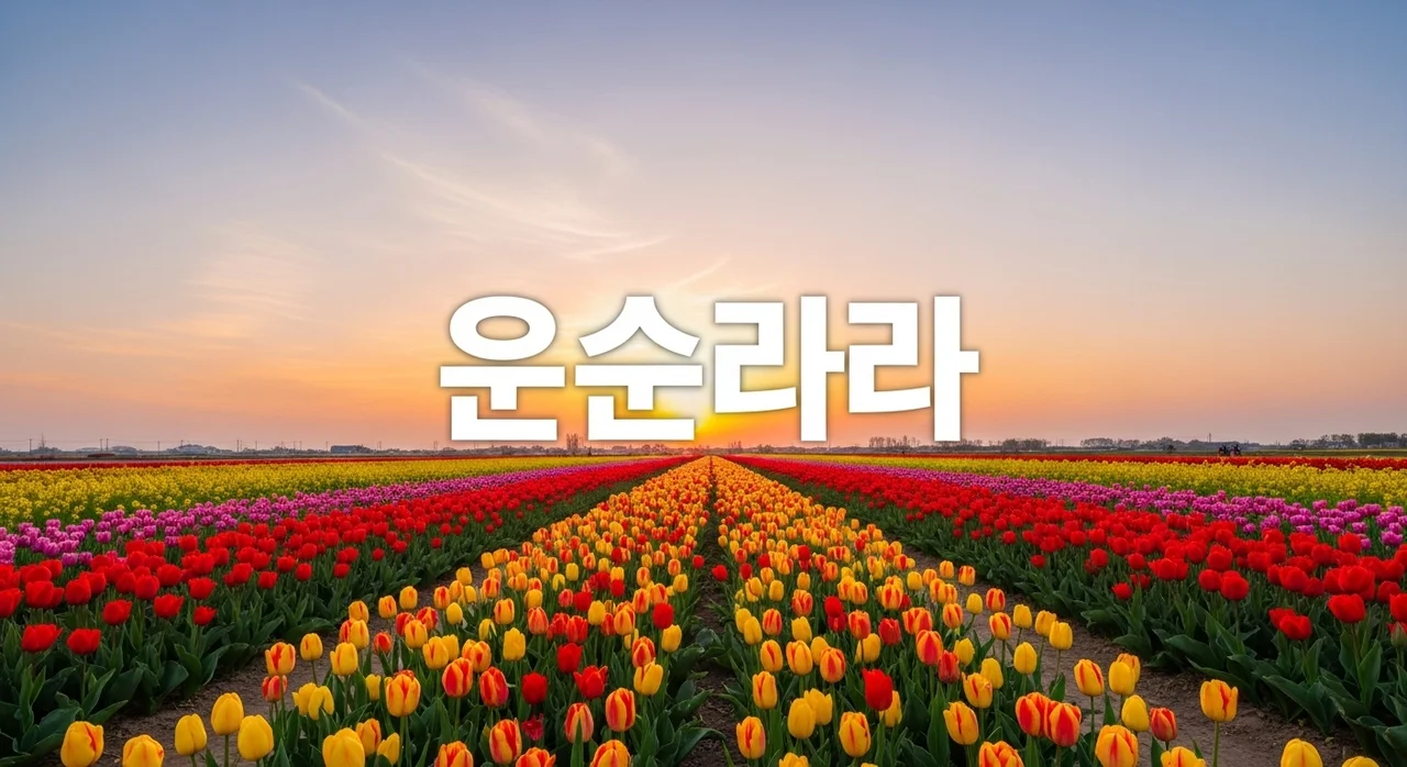 2026 화순 봄꽃축제 일정 라인업 주차 셔틀버스 가볼만한곳 완벽 가이드