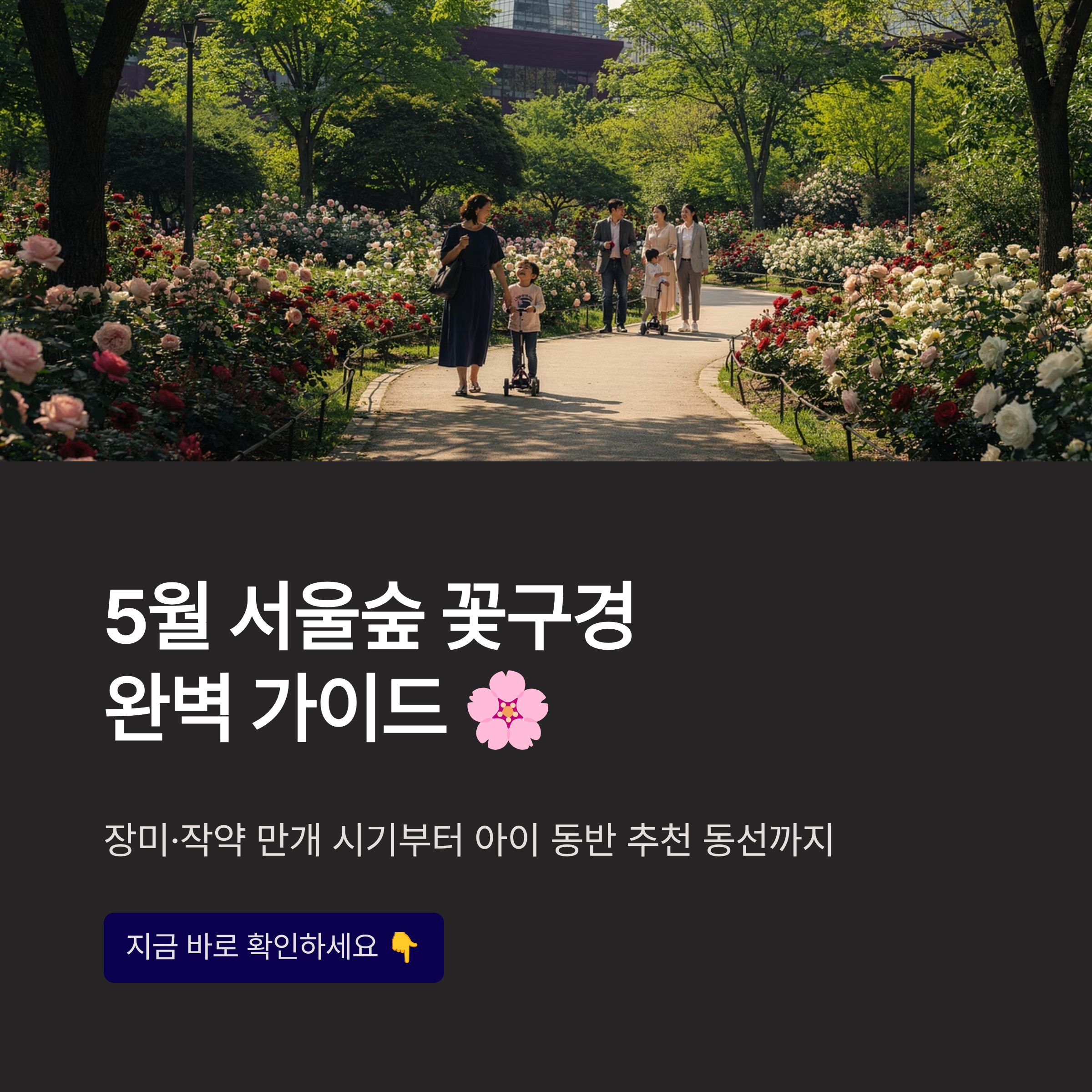 5월 서울숲 꽃구경 완벽 가이드 — 장미·작약 만개 시기부터 아이 동반 추천 동선까지